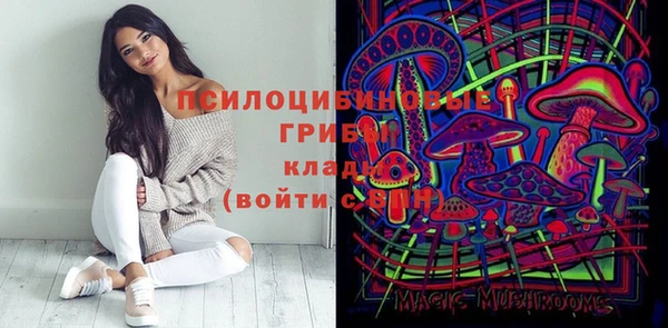 гидра Балабаново